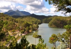 Da Lat Travel Guide