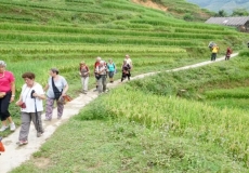 Sapa Travel Guide