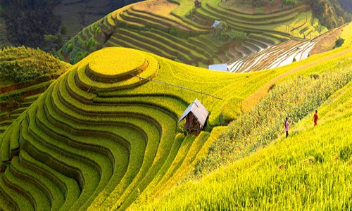 vietnam tour package