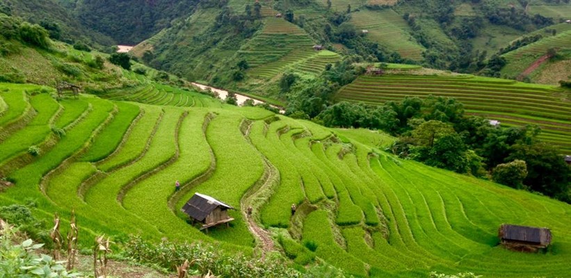 vietnam visa online