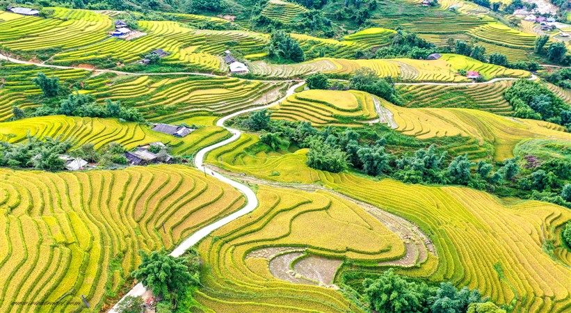 Vietnam visa updates