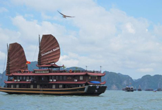 Oriental Sails