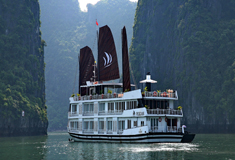 Pelican Cruises