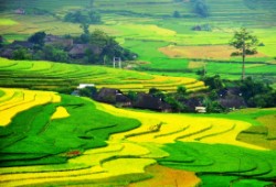 Sapa travel package
