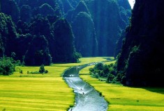 Family Vietnam Tour