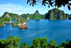 Halong tour
