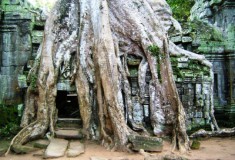 Angkor tour