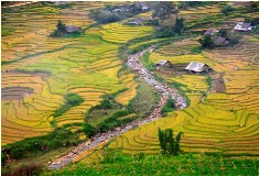 Vietnam Cambodia Holiday